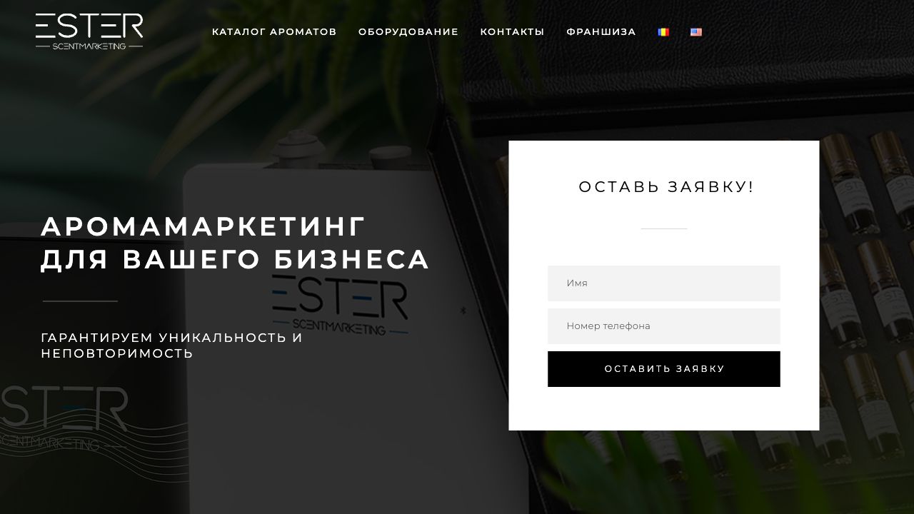 Главная страница сайта ester.md